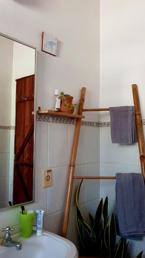 Chacara Artistica Em Socorro-Sp Villa Сокоро Екстериор снимка